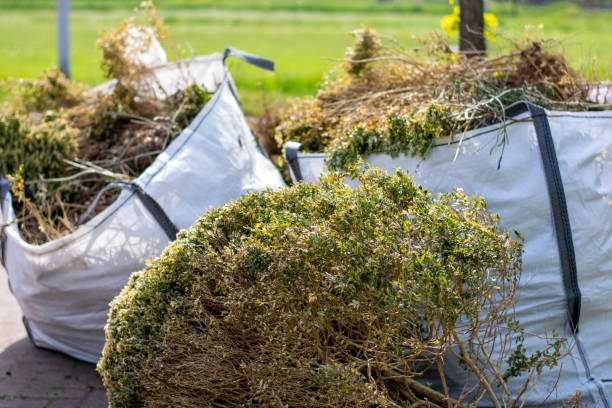 Best Property Management Cleanouts  in Lindstrom, MN