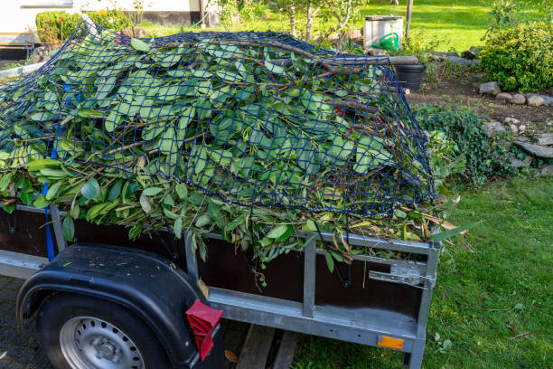 Reliable Lindstrom, MN Junk Removal Services Solutions